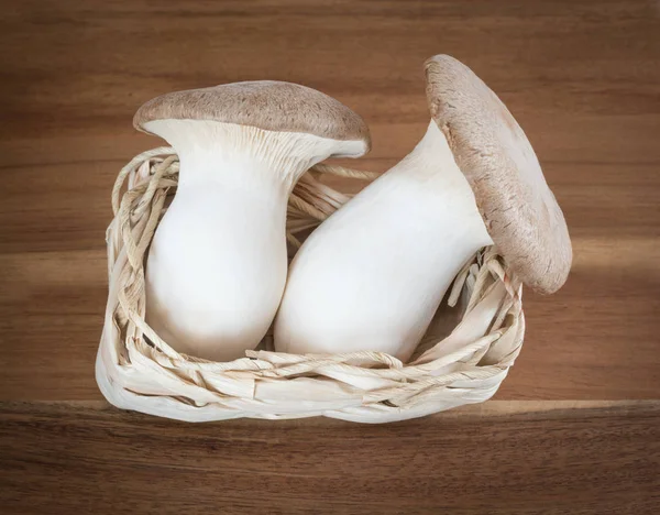 Two King Trumpet Mushrooms — Stock Photo, Image
